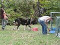 img 029